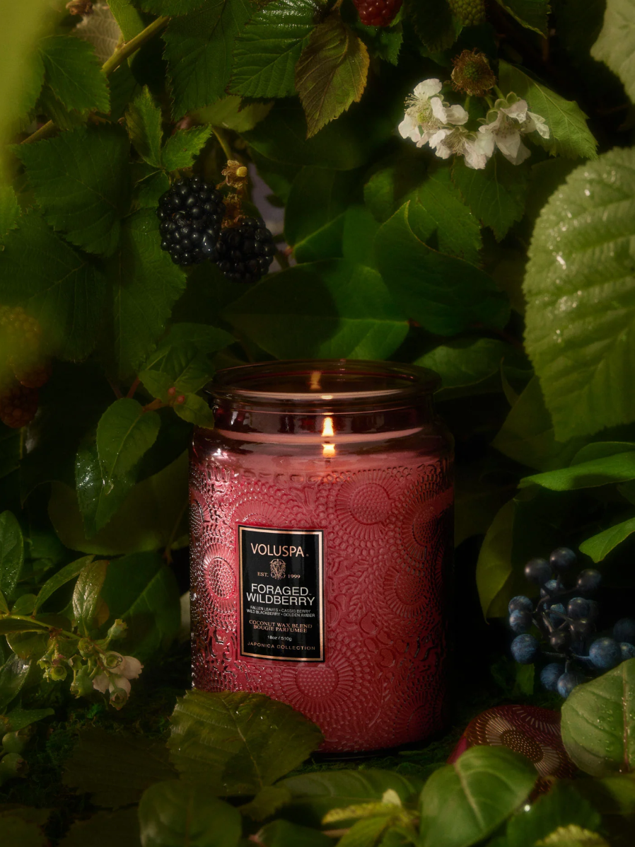 •FORAGED WILDBERRY• fragrance