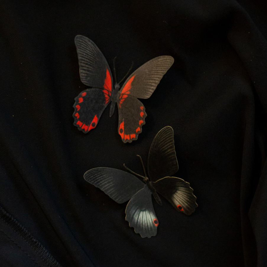 •SPELLBOUND• moth + butterfly fine paper specimens