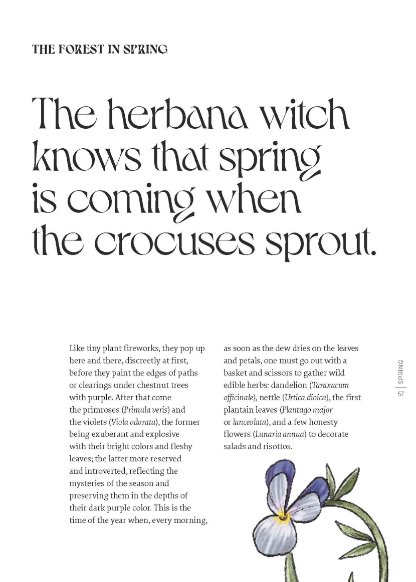 •HERBANA WITCH• hardcover book