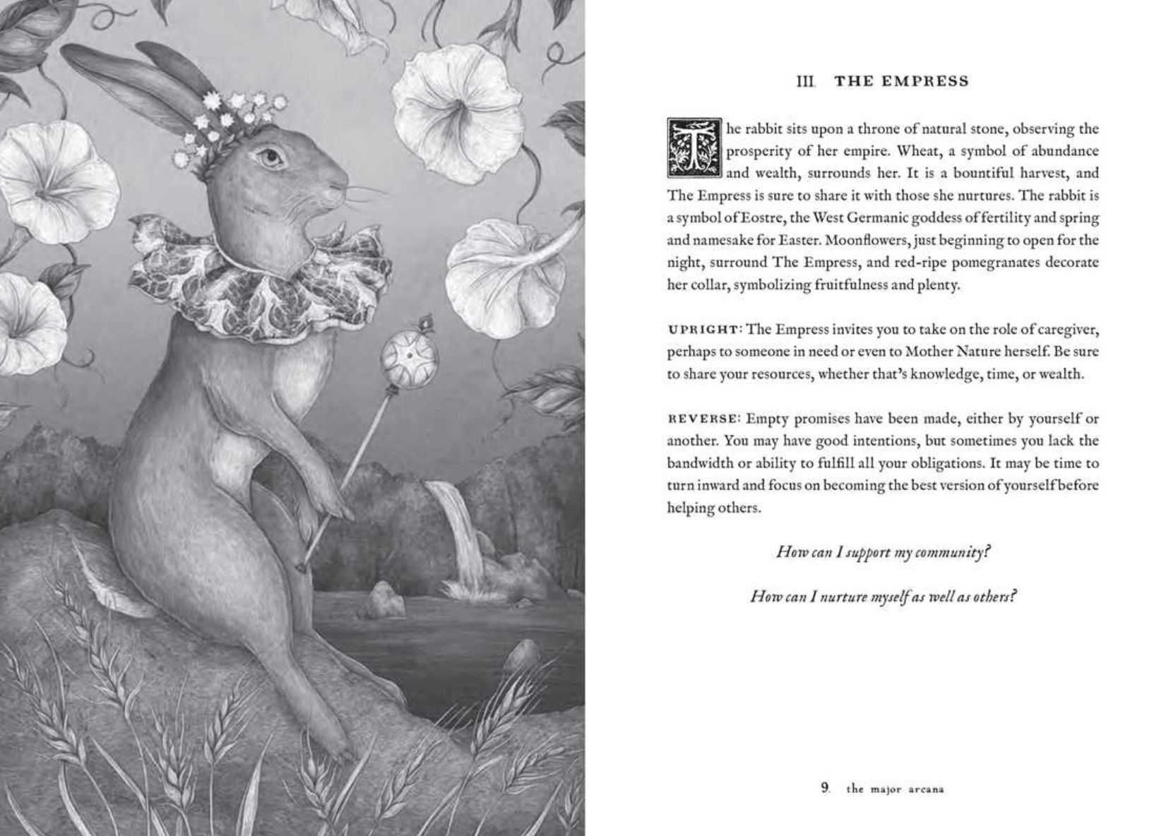 •WOODLAND WARDENS• tarot deck