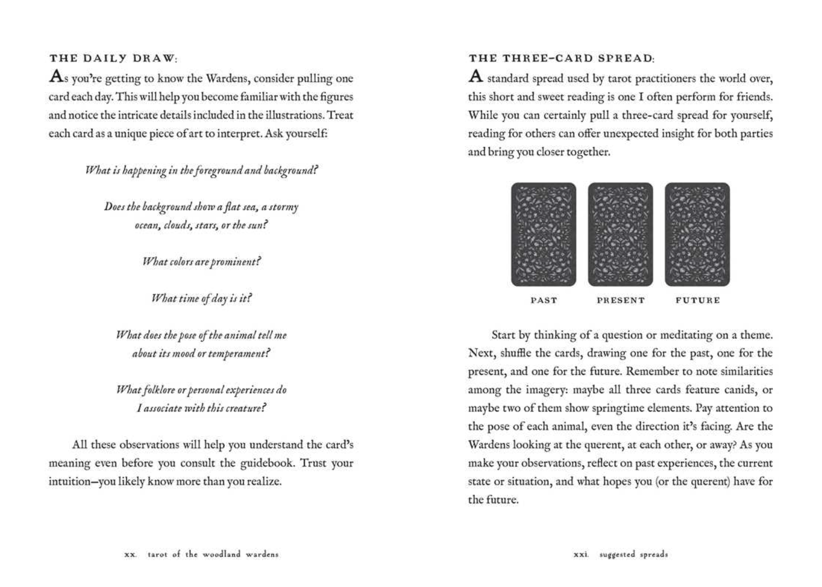 •WOODLAND WARDENS• tarot deck