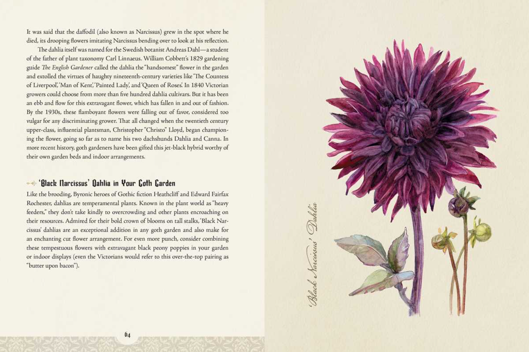 •GOTH GARDEN• hardcover book