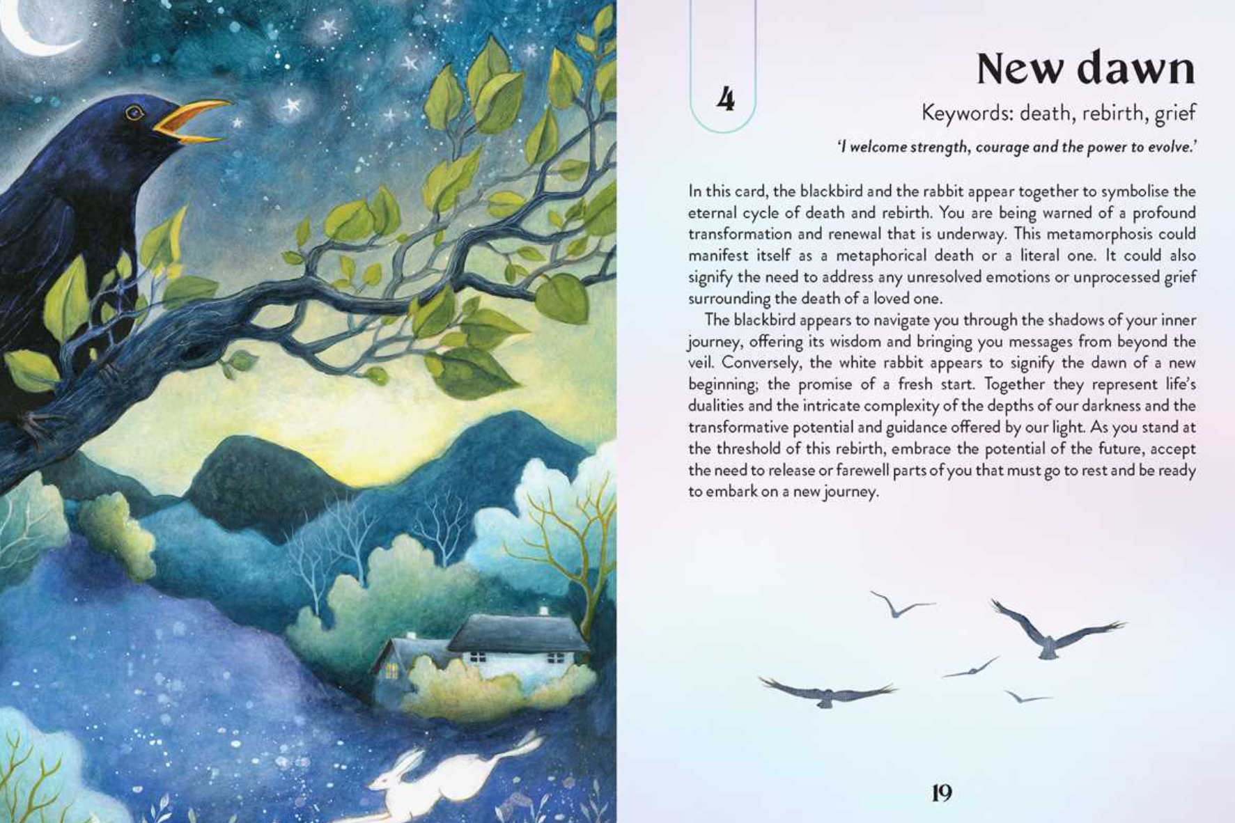 •ENCHANTED EARTH• oracle deck