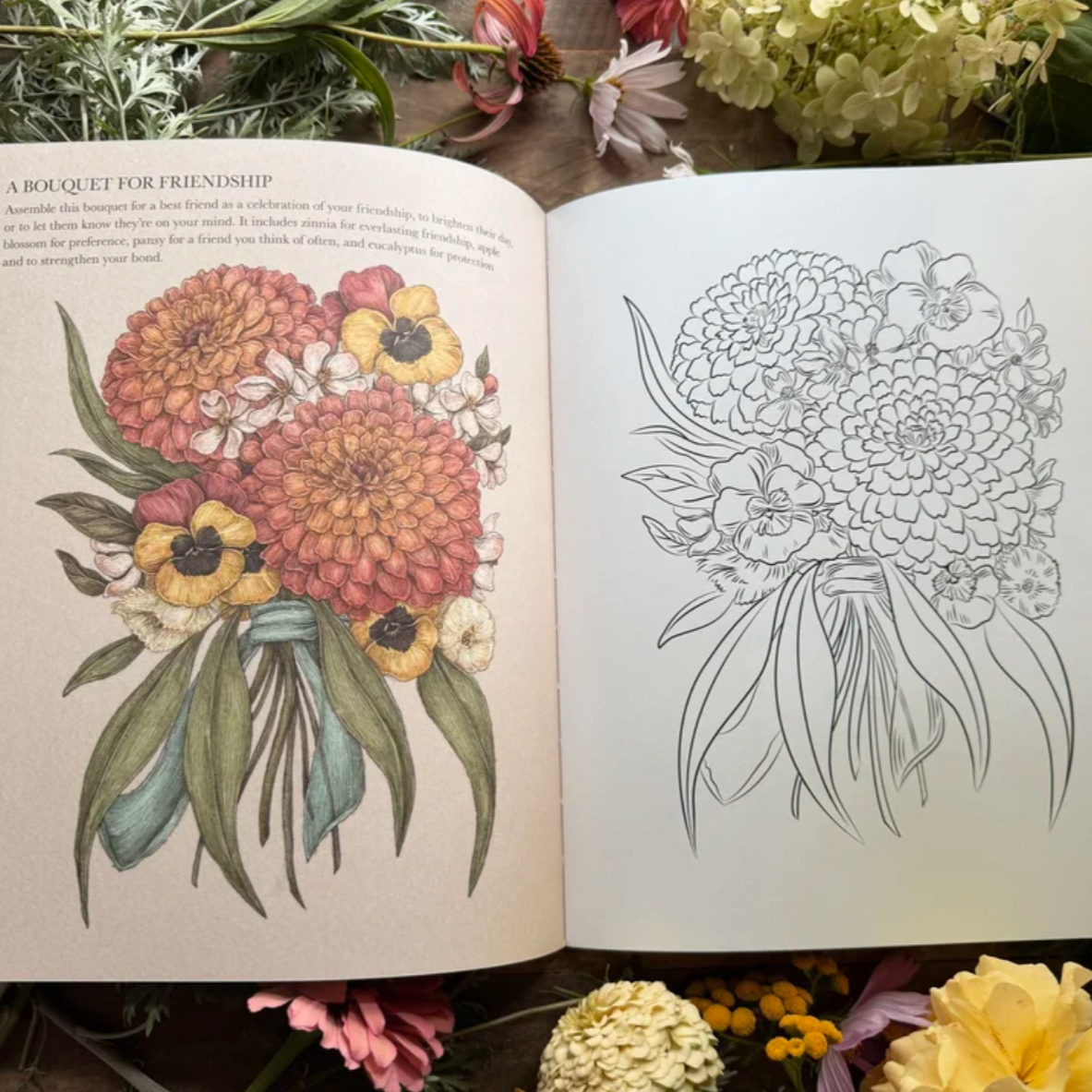 •FLORIOGRAPHY• coloring book