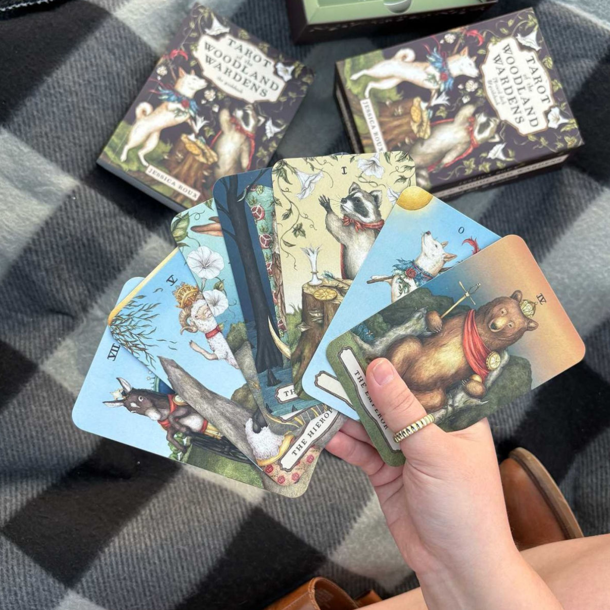 •WOODLAND WARDENS• tarot deck