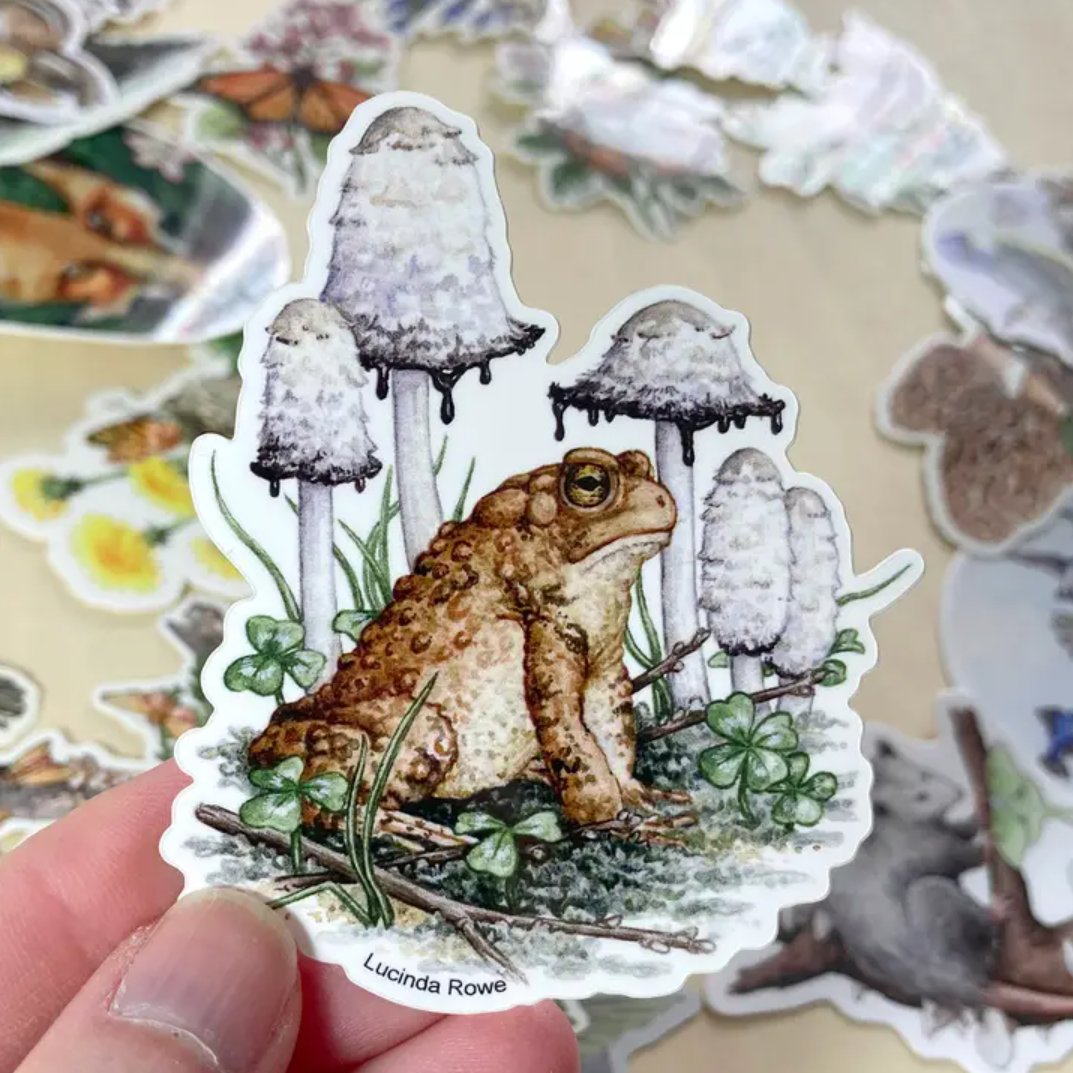 •REPTILES & AMPHIBIANS• vinyl stickers