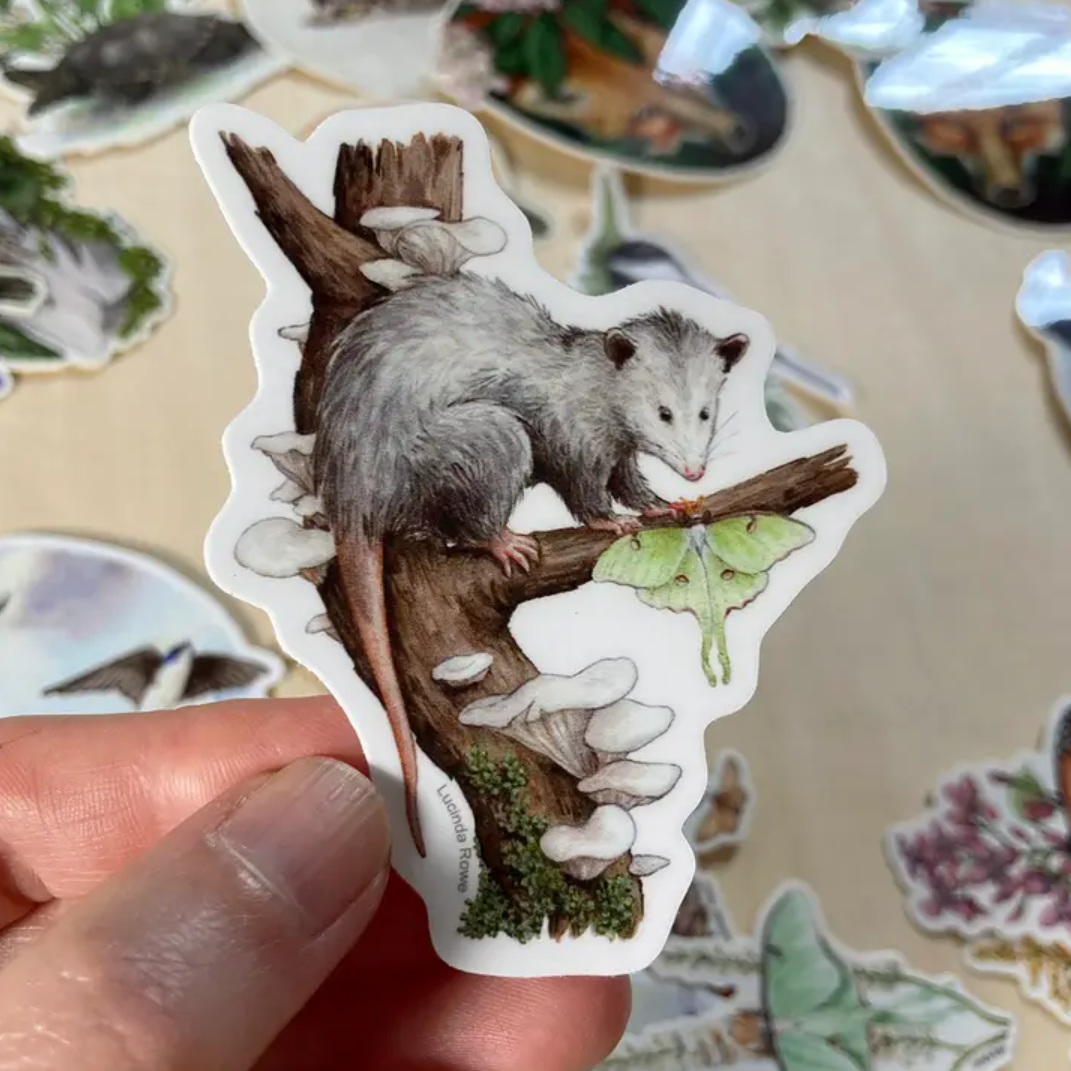 •BIRDS & CRITTERS• vinyl stickers