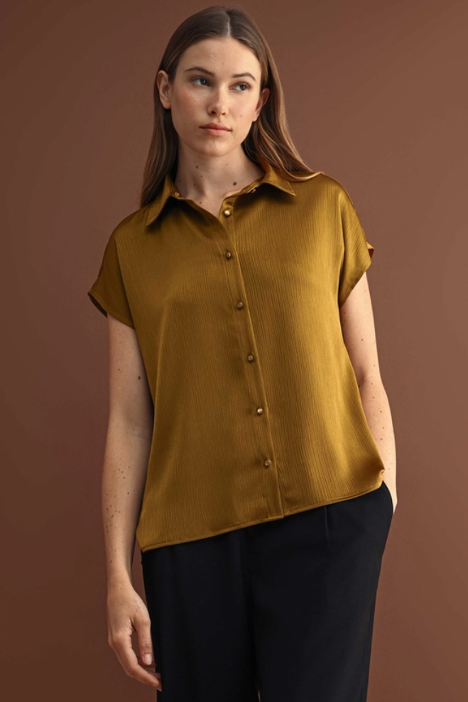 •SINOPIA• satin collared button down top