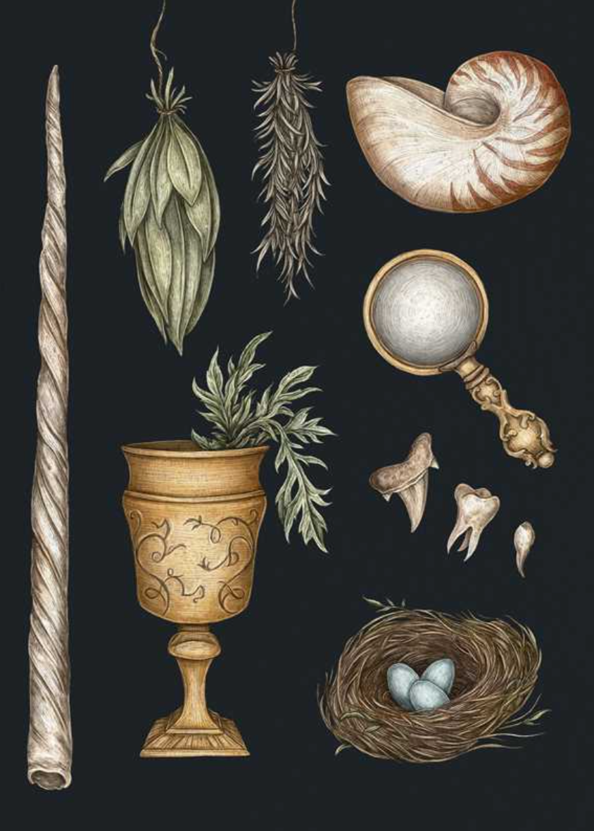 •THE COLLECTOR'S CURIO• sticker book