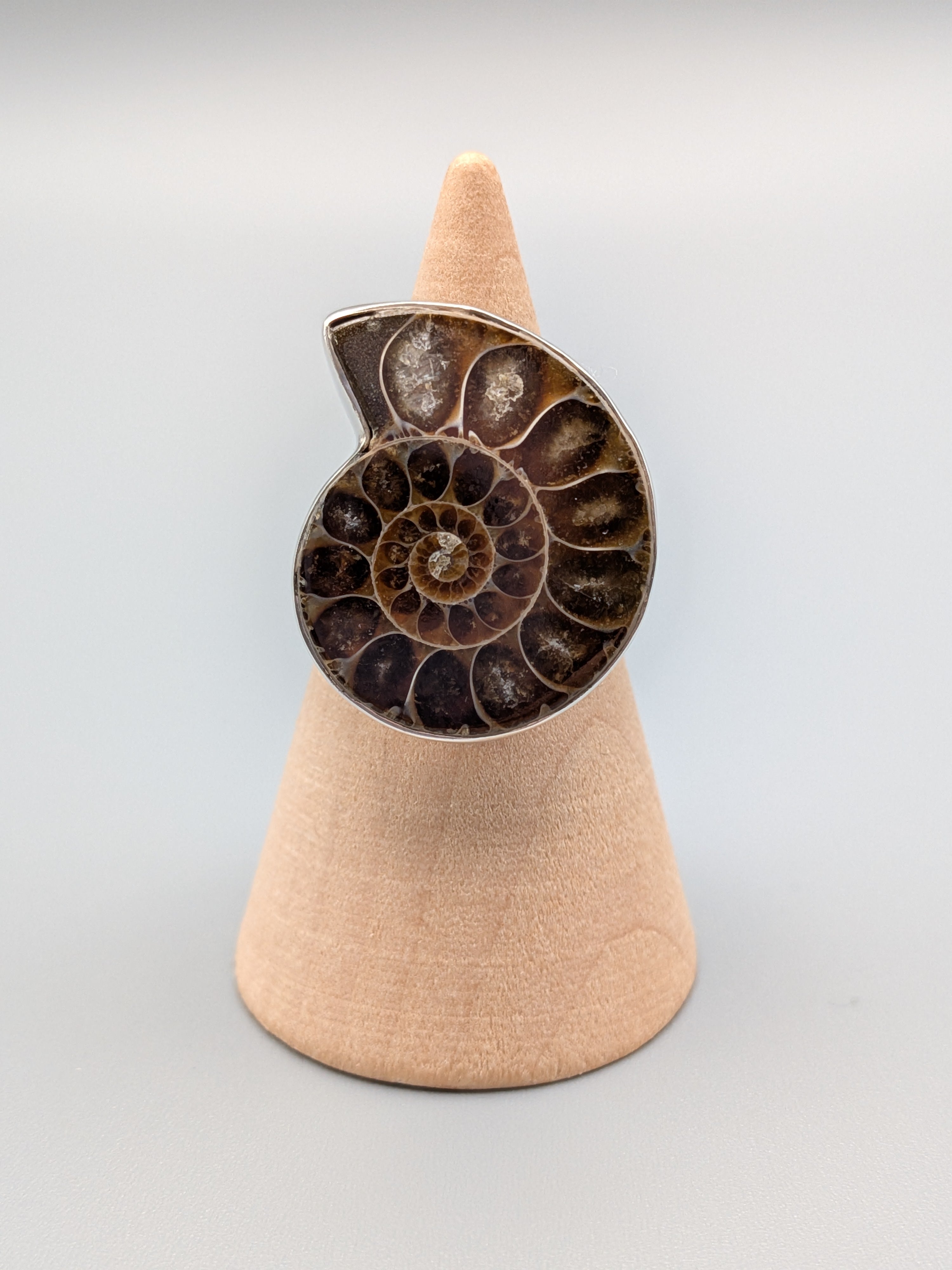 •AMMONITE• simple bezel silver ring (size 6.25)
