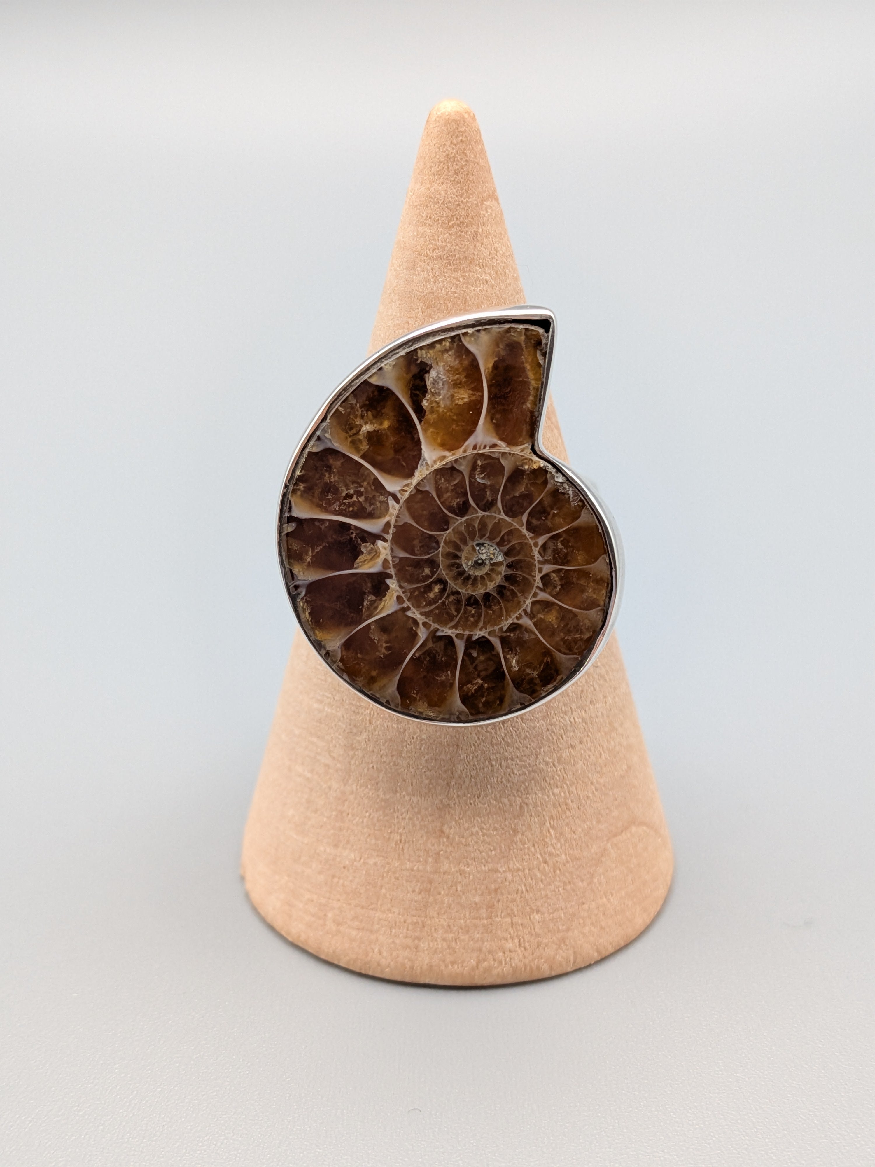 •AMMONITE• simple bezel silver ring (size 9)