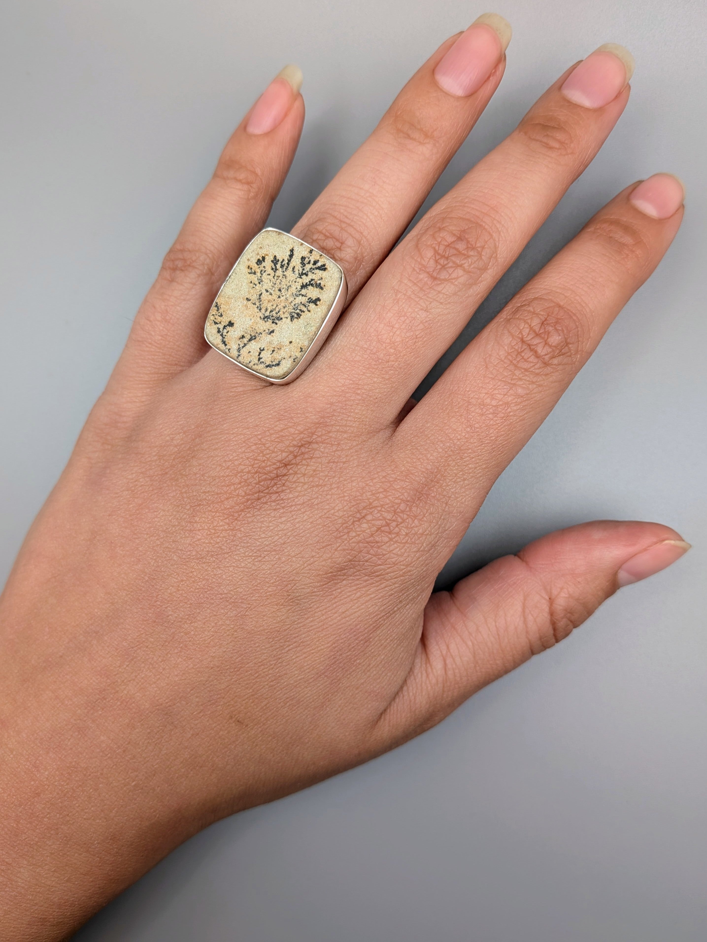 •DENDRITIC SANDSTONE - SOFT RECTANGLE• split band silver ring (size 7)