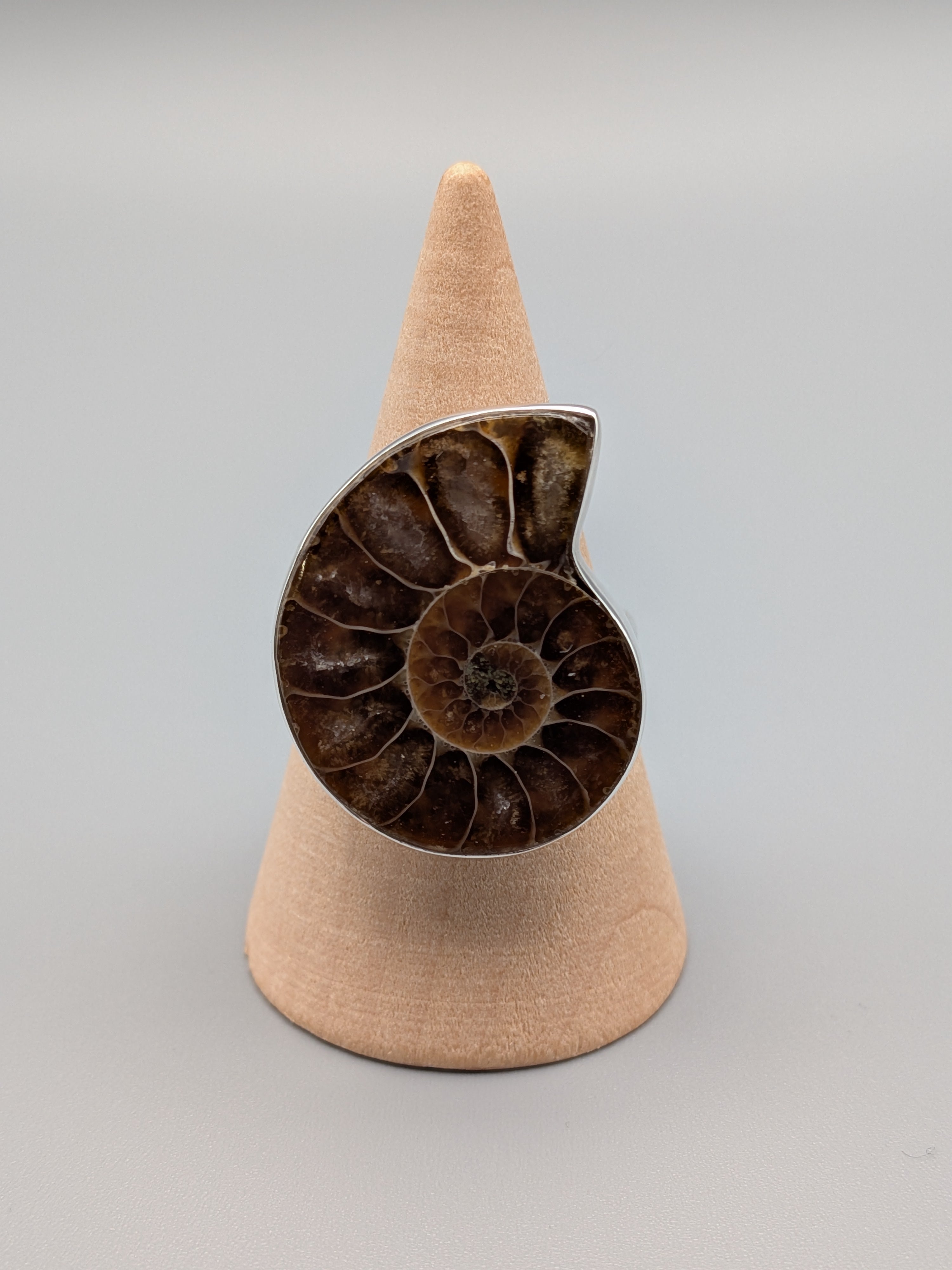 •AMMONITE• simple bezel silver ring (size 10)