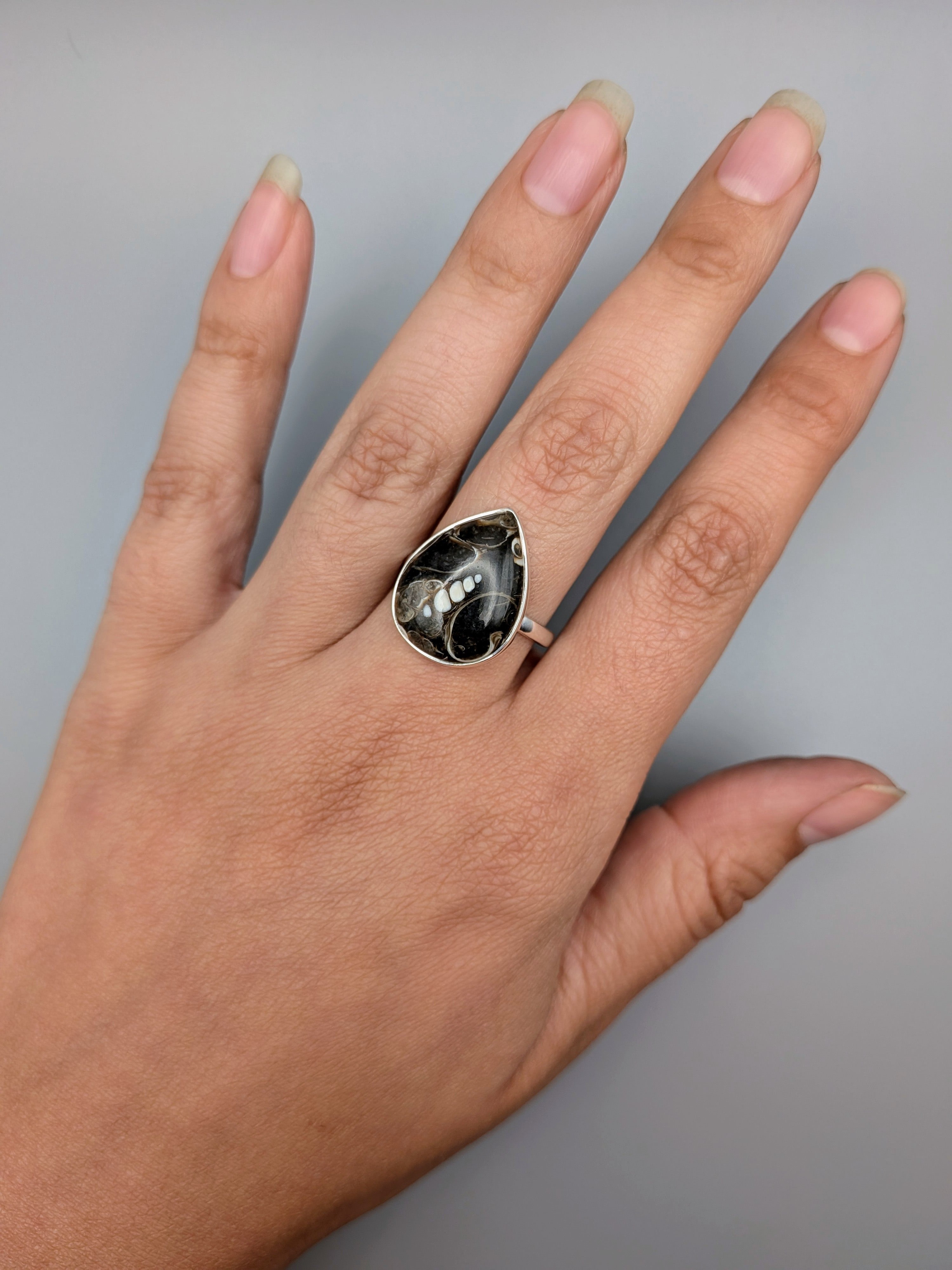 •TURRITELLA FOSSIL - TEAR• simple bezel silver ring (size 10)
