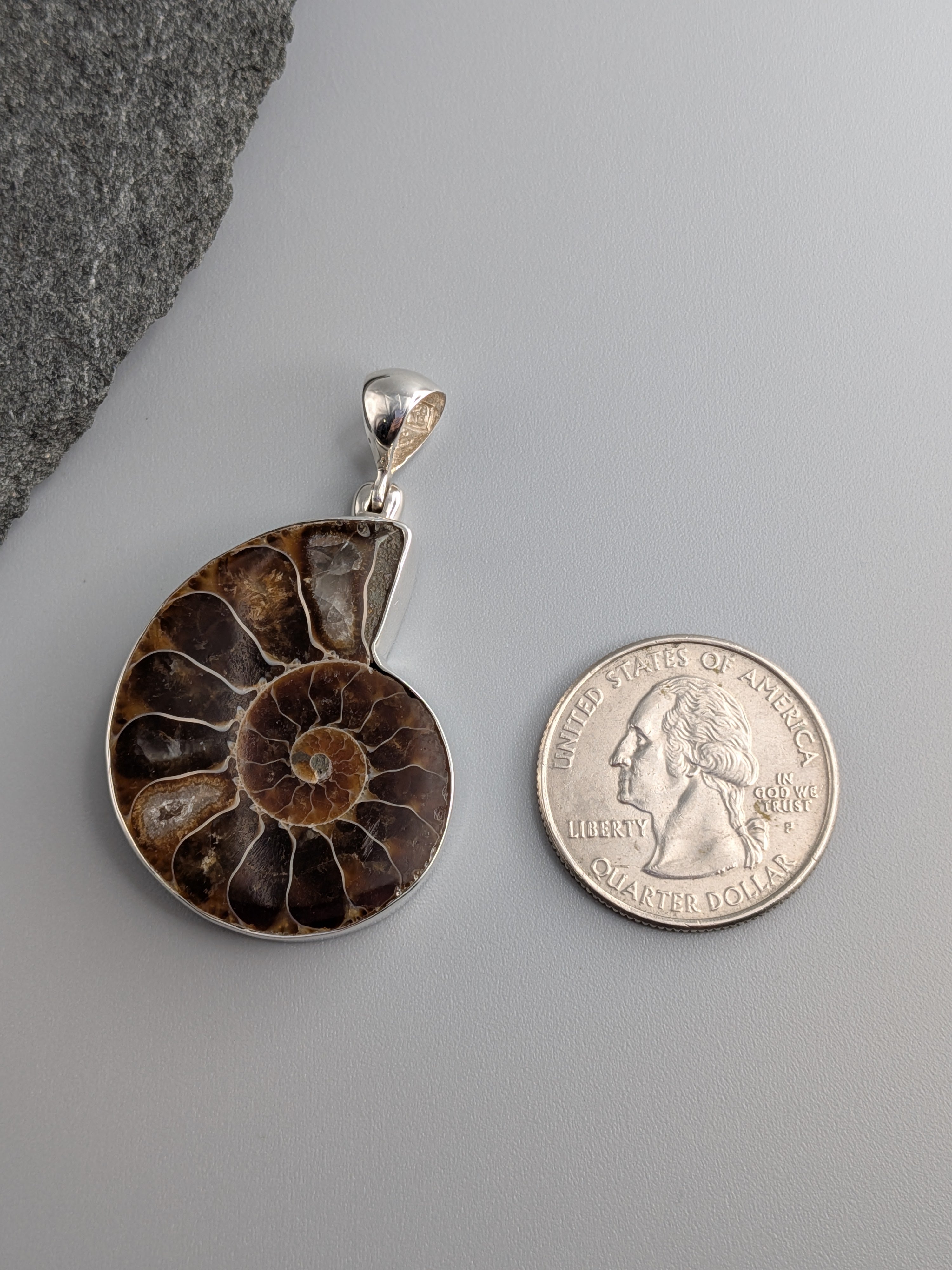 •AMMONITE - MEDIUM• sterling silver pendant