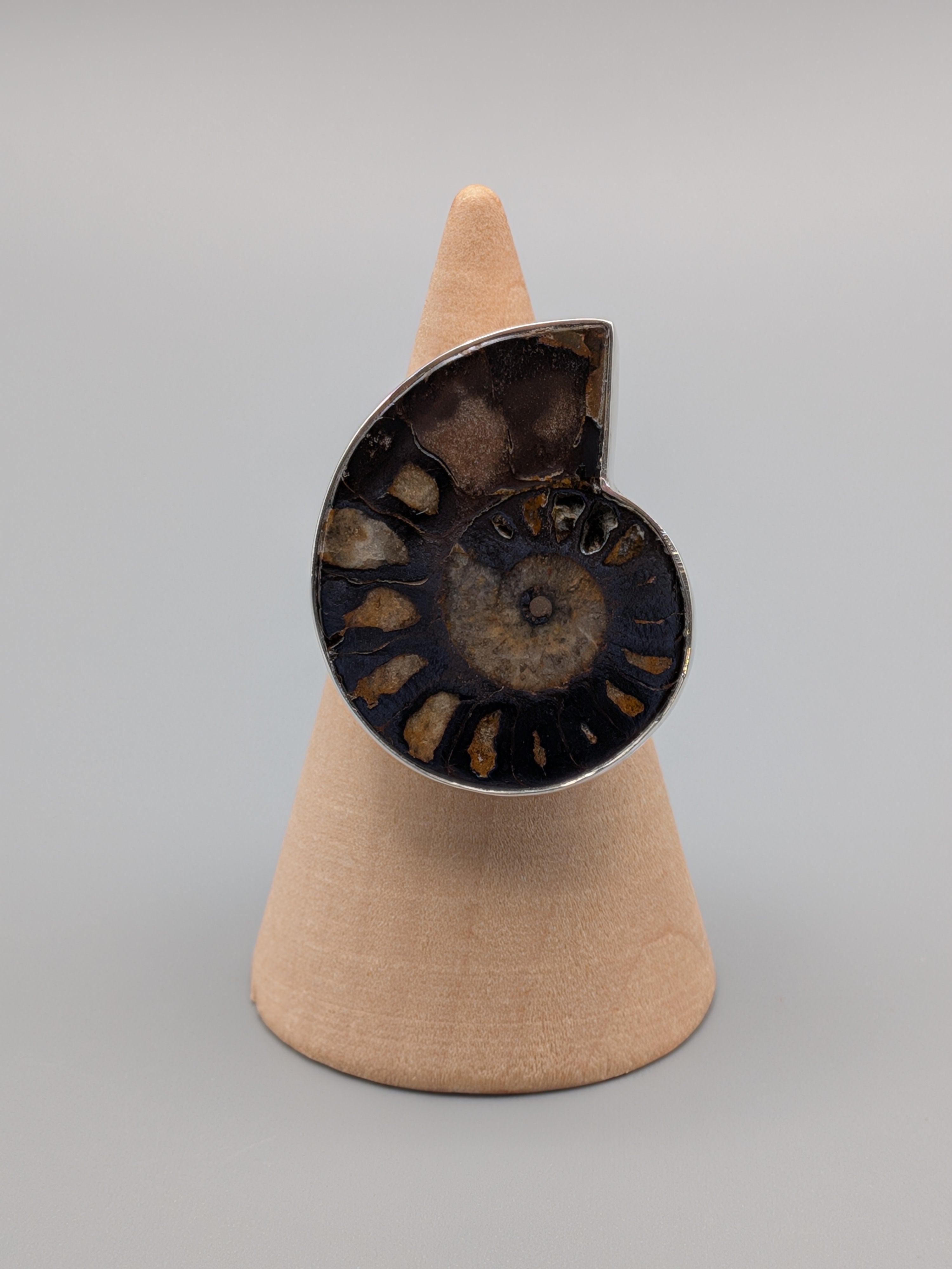 •AMMONITE• simple bezel silver ring (size 8.25)