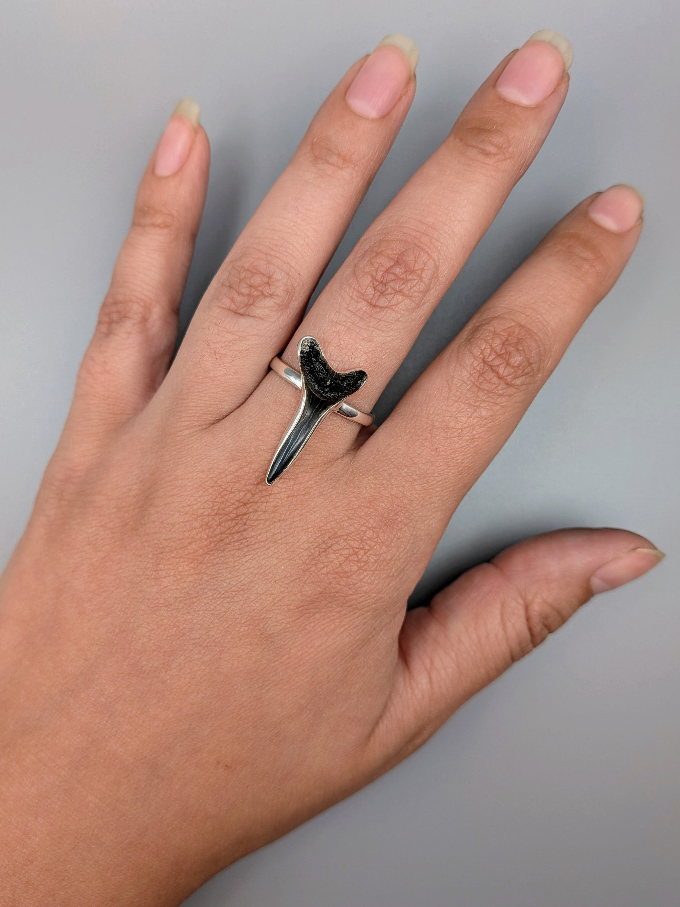 •FOSSILIZED SHARK TOOTH• simple bezel silver ring (size 10)