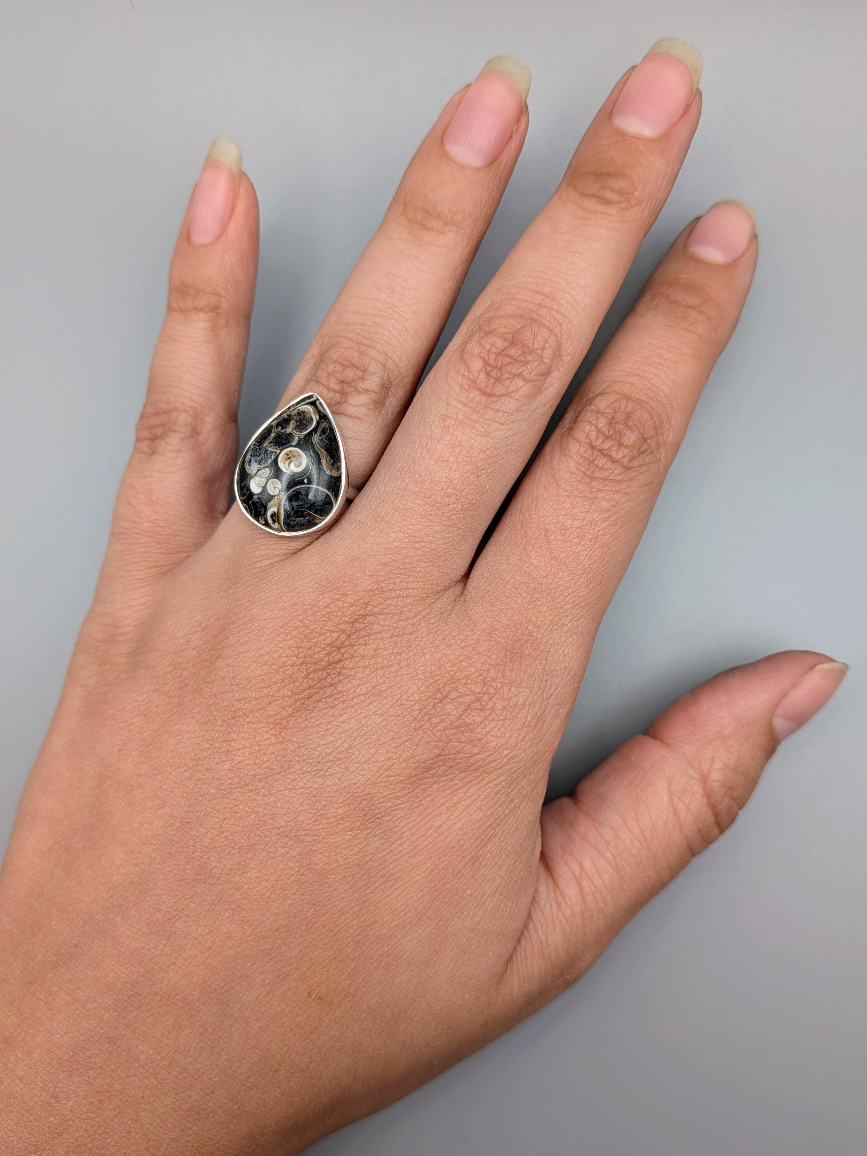 •TURRITELLA FOSSIL - TEAR - 1• simple bezel silver ring (size 6)