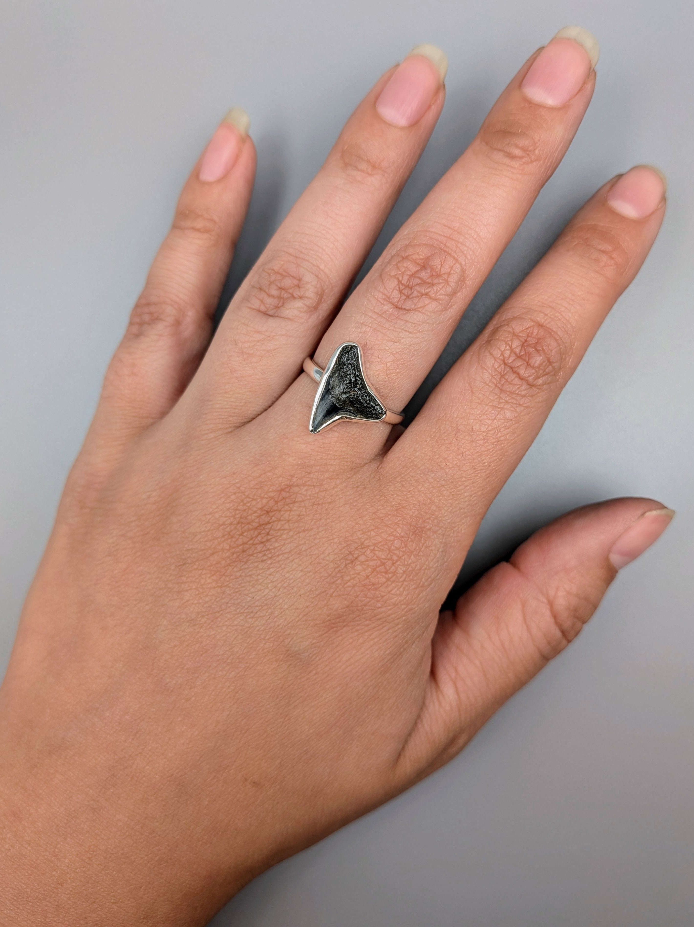 •FOSSILIZED SHARK TOOTH• simple bezel silver ring (size 8)