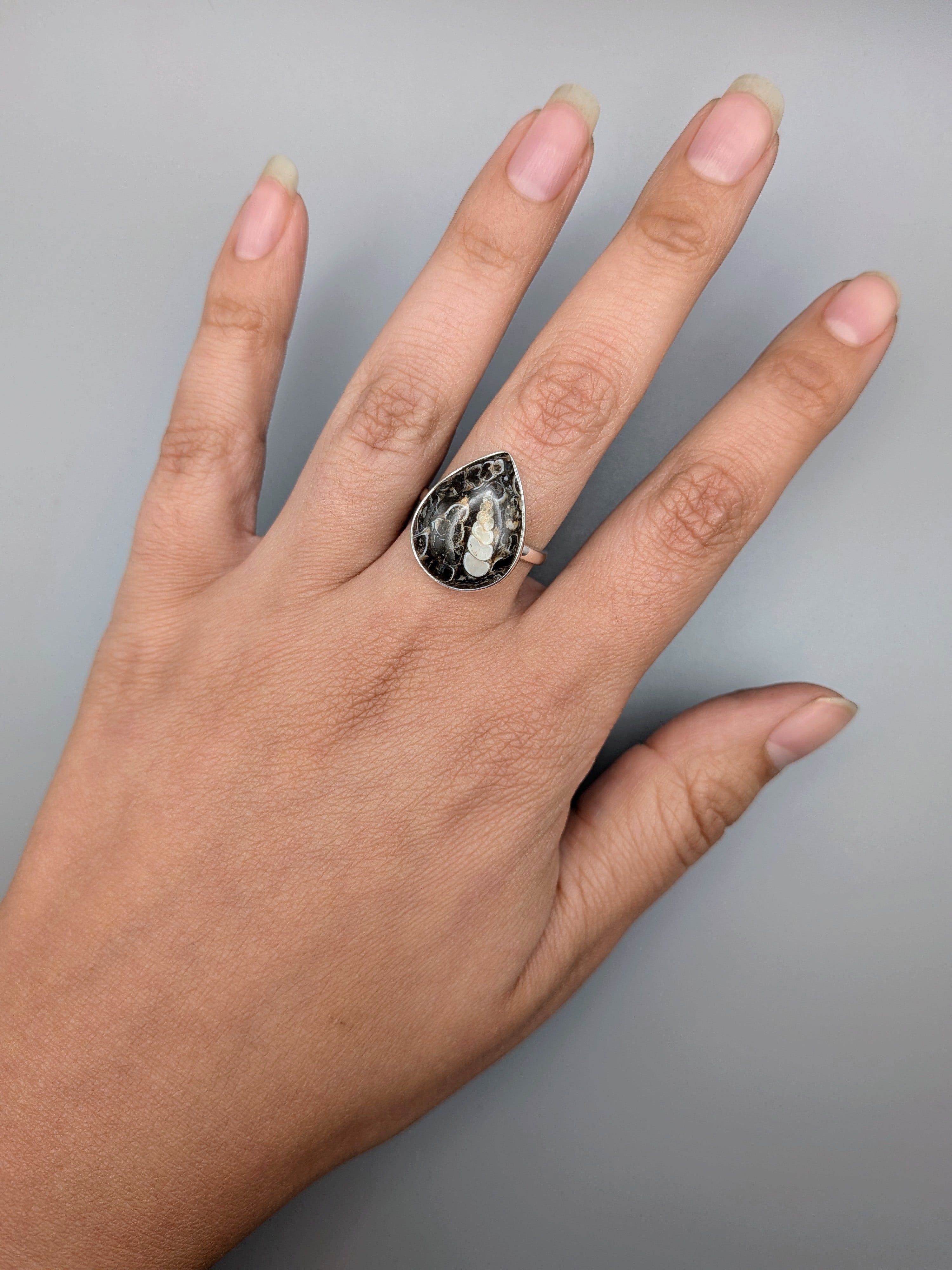 •TURRITELLA FOSSIL - TEAR• simple bezel silver ring (size 9)
