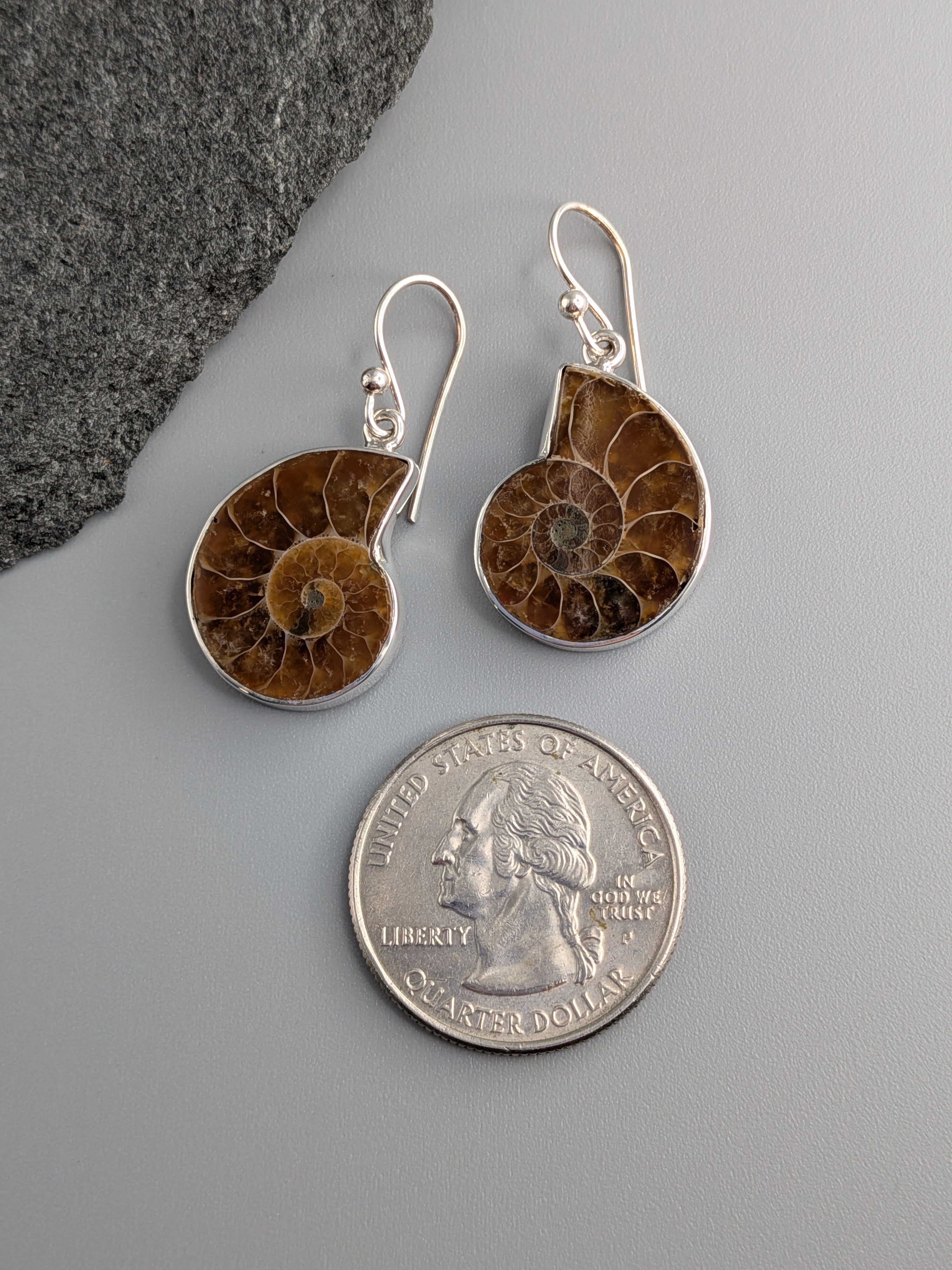 •AMMONITE• silver dangle earrings