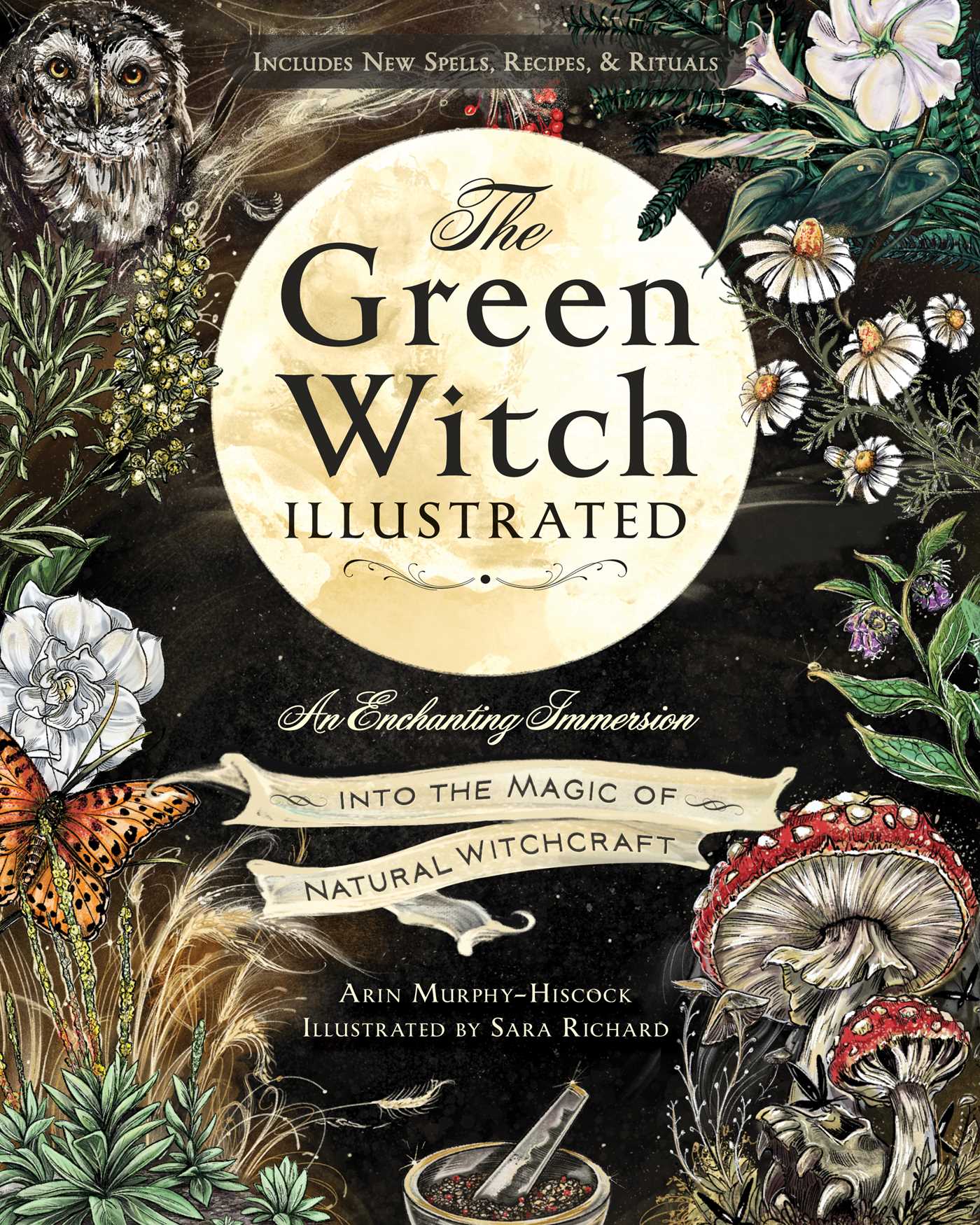 •GREEN WITCH ILLUSTRATED• hardcover book