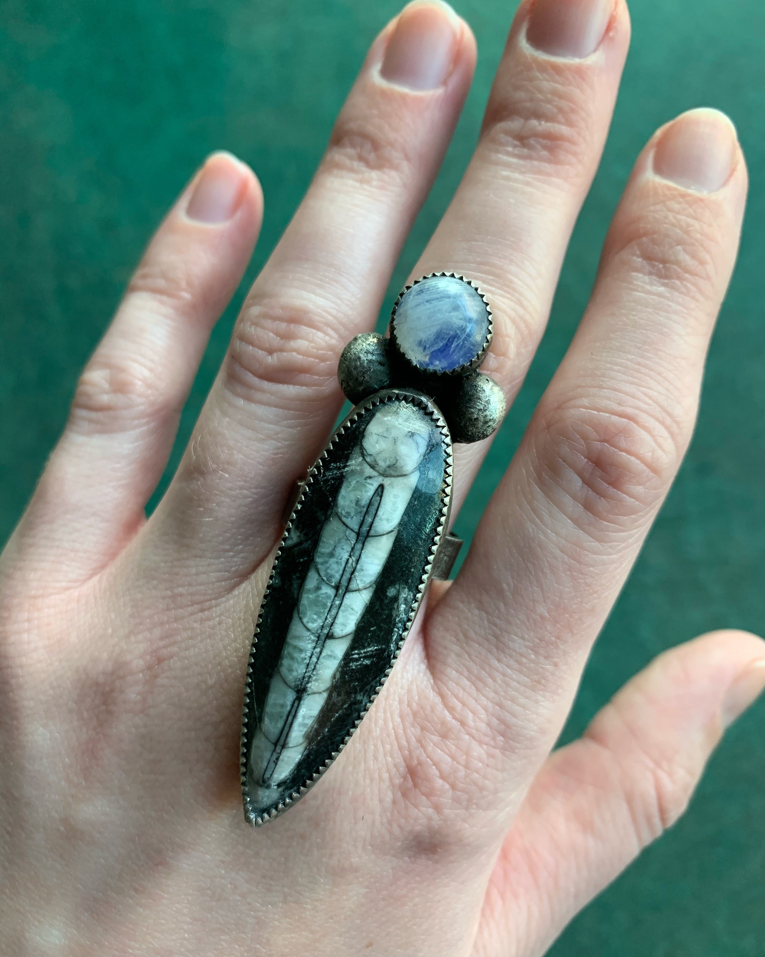 • ARTHROPOD • orthoceras, rainbow moonstone + silver ring