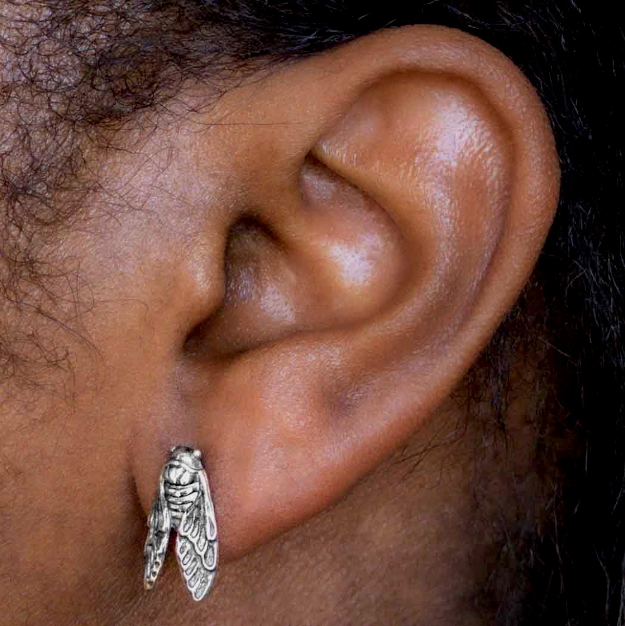 • CICADA • silver stud earrings