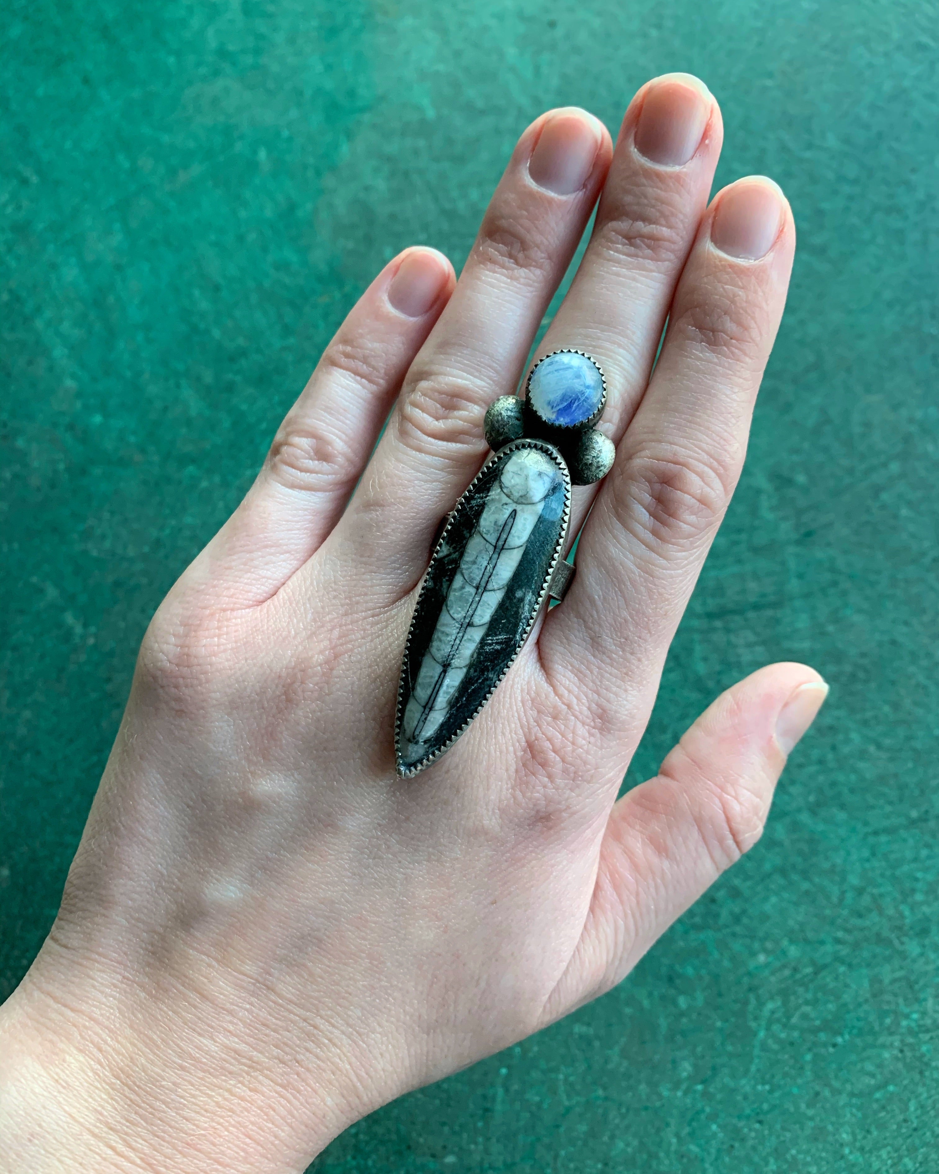 • ARTHROPOD • orthoceras, rainbow moonstone + silver ring